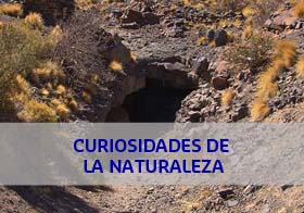 curiosidades de la natura